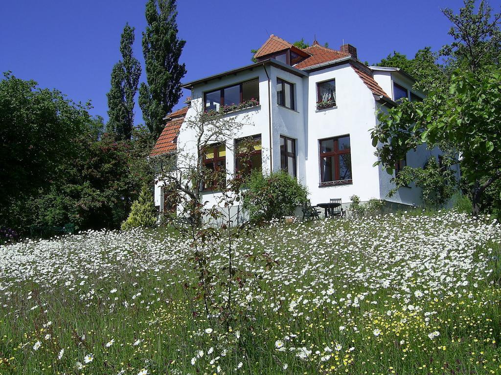 Ferienwohnungen Meerblick Herde Goehren  Rom bilde