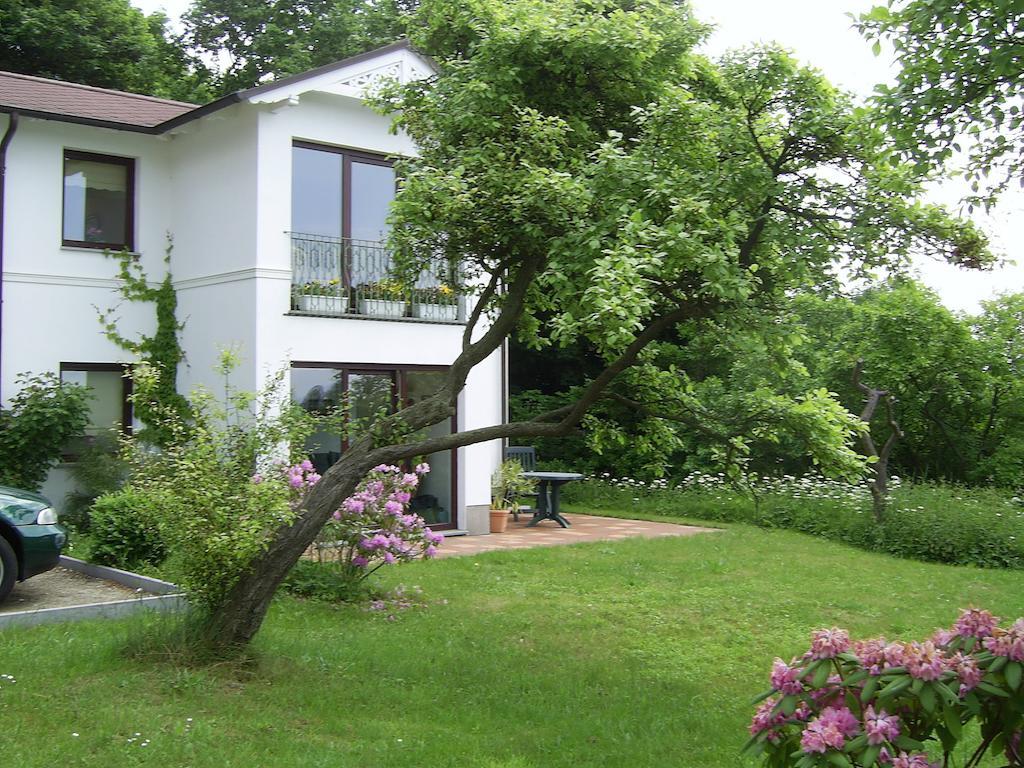 Ferienwohnungen Meerblick Herde Goehren  Rom bilde